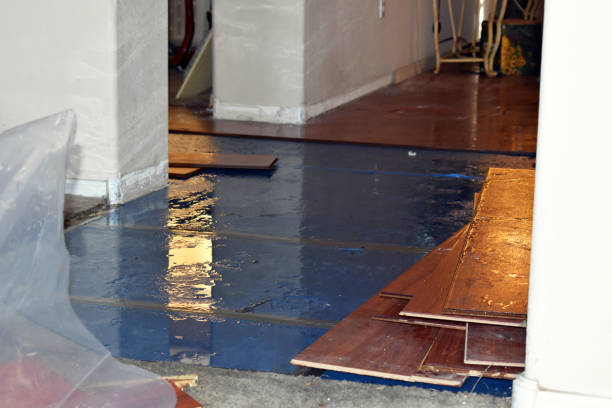 Professional Sewage Cleanup technician working in Monroe, CT